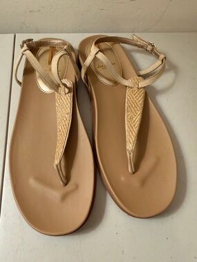 Sam Edelman Beige T-Strap Woven Sandals Size 11 Medium